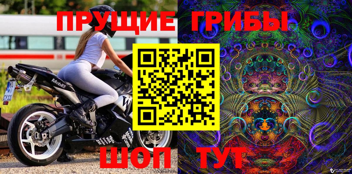 Вязьма  Псилоцибиновые грибы мицелий  Вход с VPN 